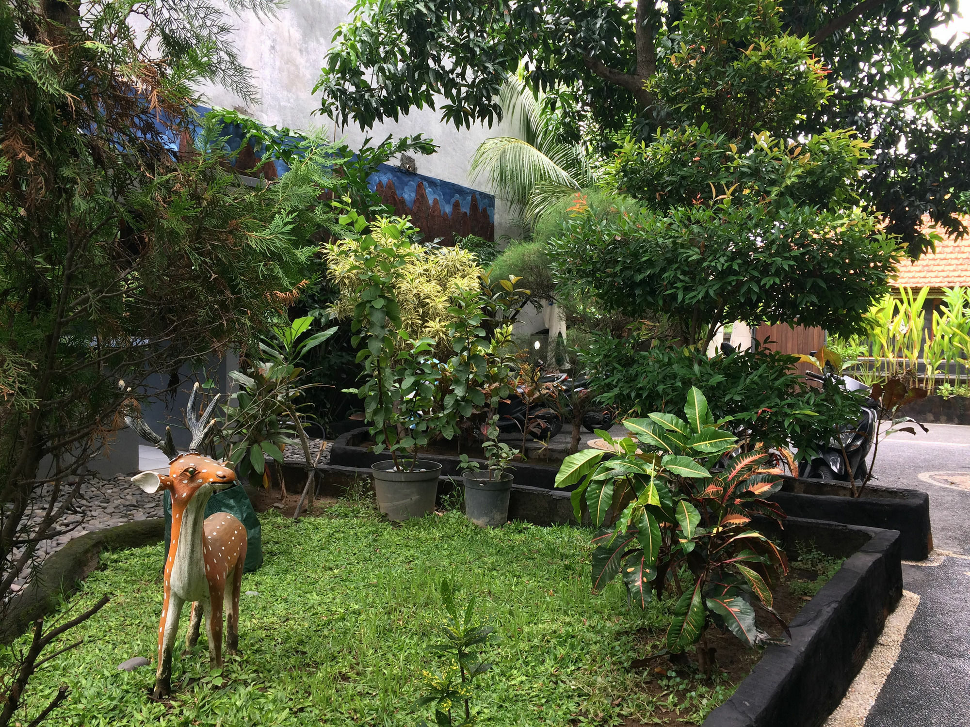 Jenny Bunker Homestay Kuta  Exterior photo